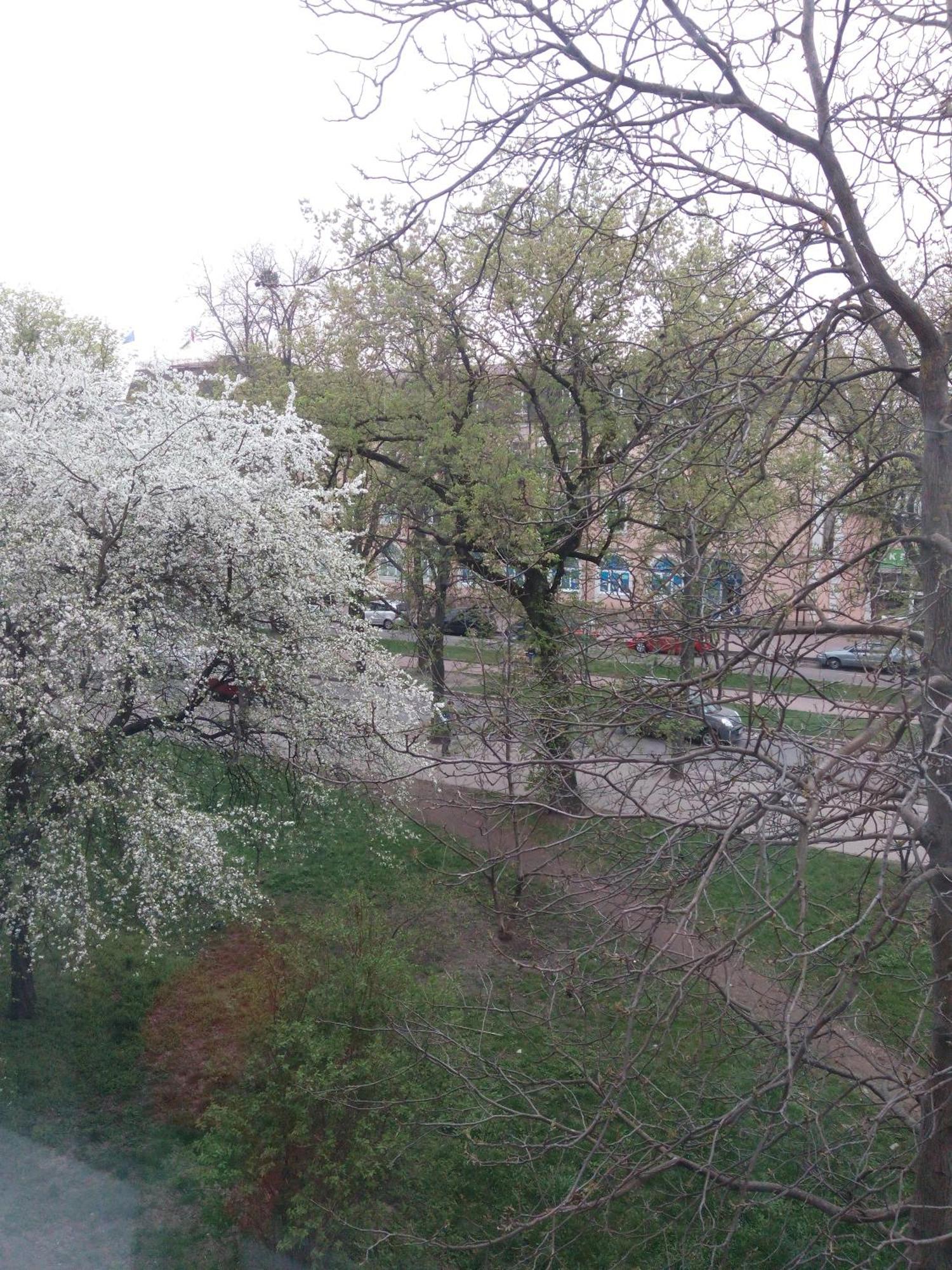 Квартира Студія В Центрі Міста Філармонія Khmelʼnytsʼkyy المظهر الخارجي الصورة